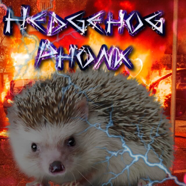 Hedgehog drift phonk