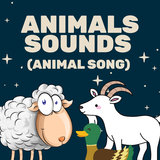 Animal Sounds With Real Animal Noises (Loopable)