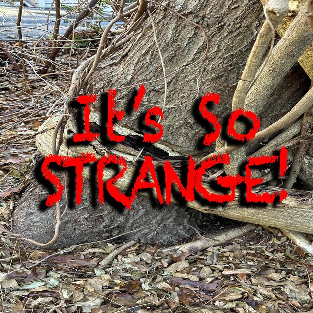 It's So Strange