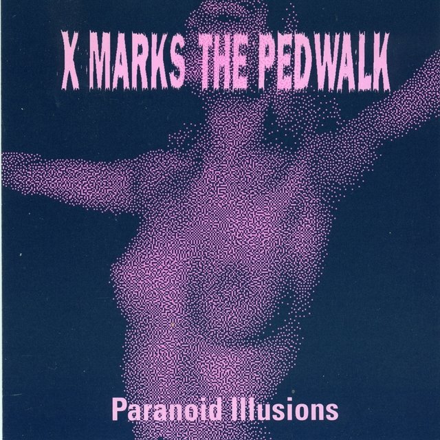 Paranoid Illusions