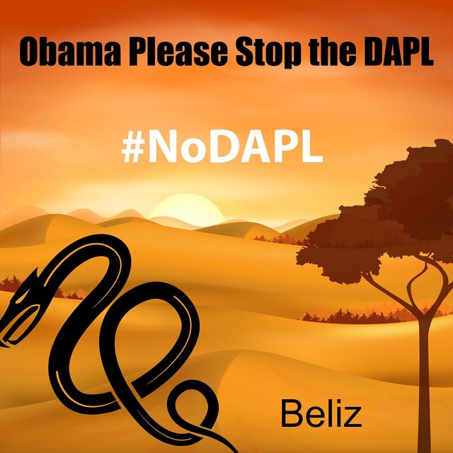 Obama Please Stop the D A P L