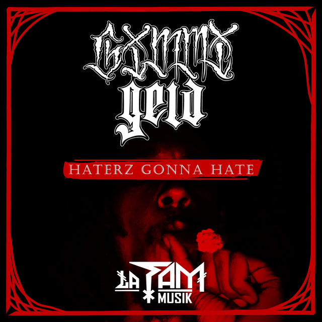 HATERZ GONNA HATE