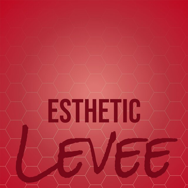 Esthetic Levee