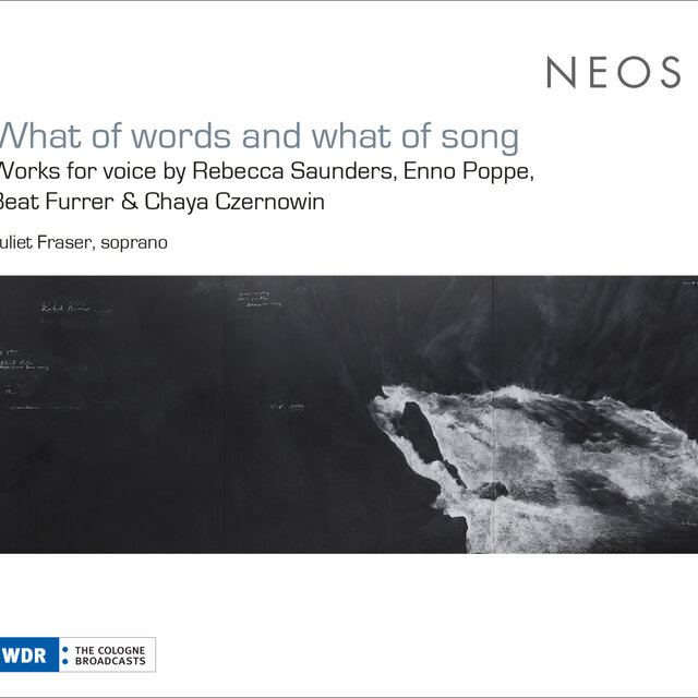 What of Words and What of Song