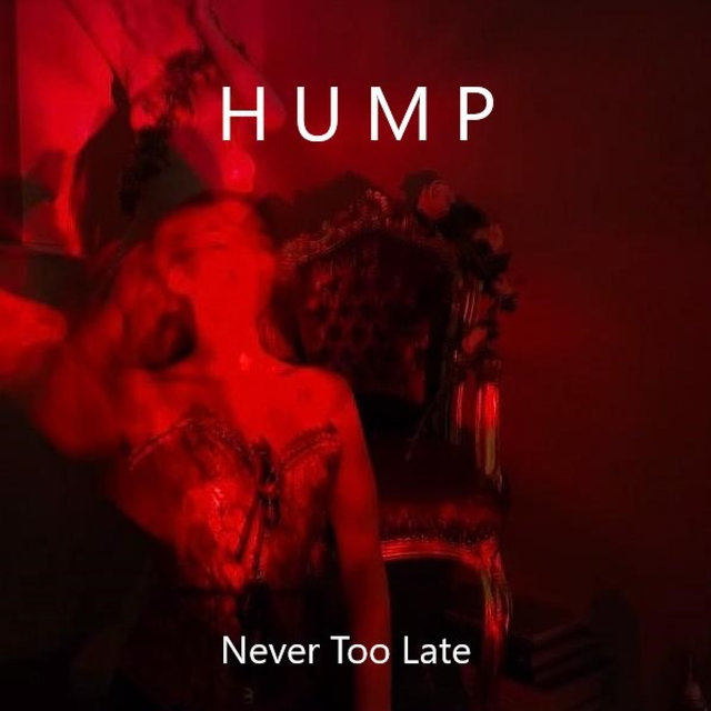 Never Too Late