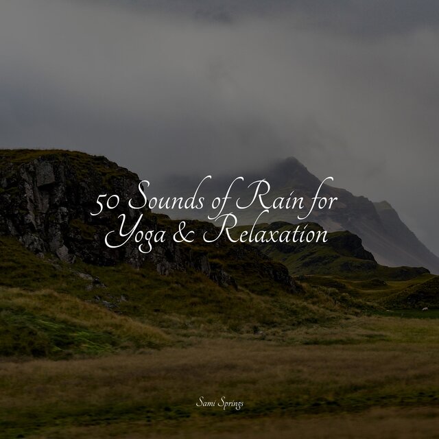 50 Sounds of Rain for Yoga & Relaxation