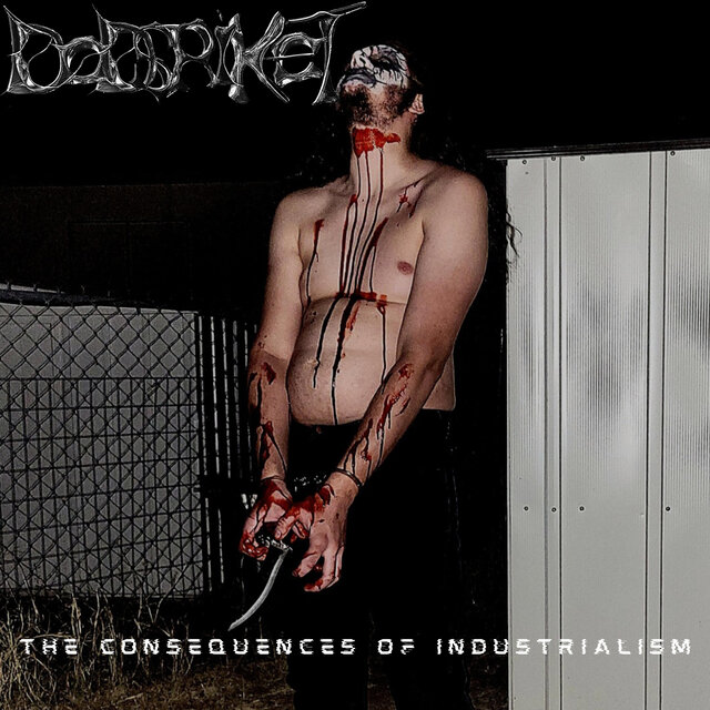 The Consequences of Industrialism