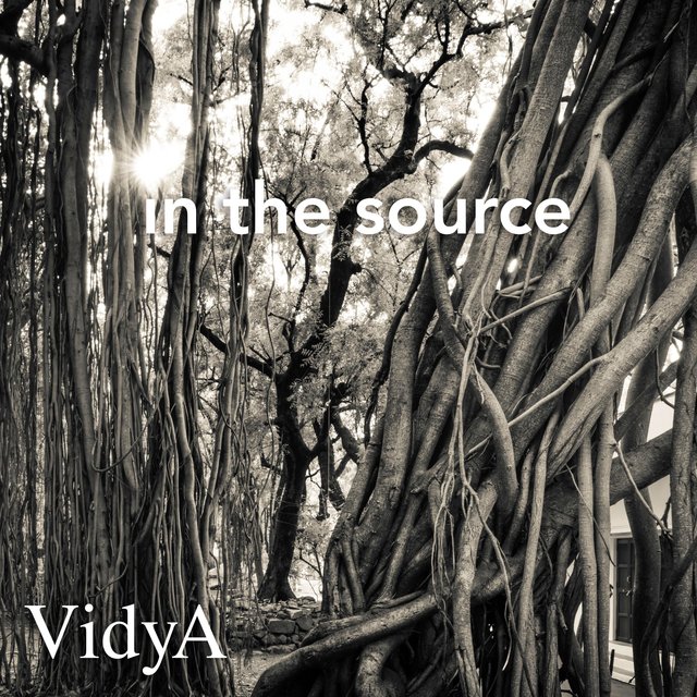 In the Source