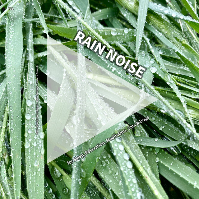 #01 Rain Noise for Sleep, Relaxation, Meditation, Cats & Dogs