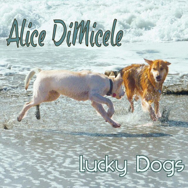 Lucky Dogs