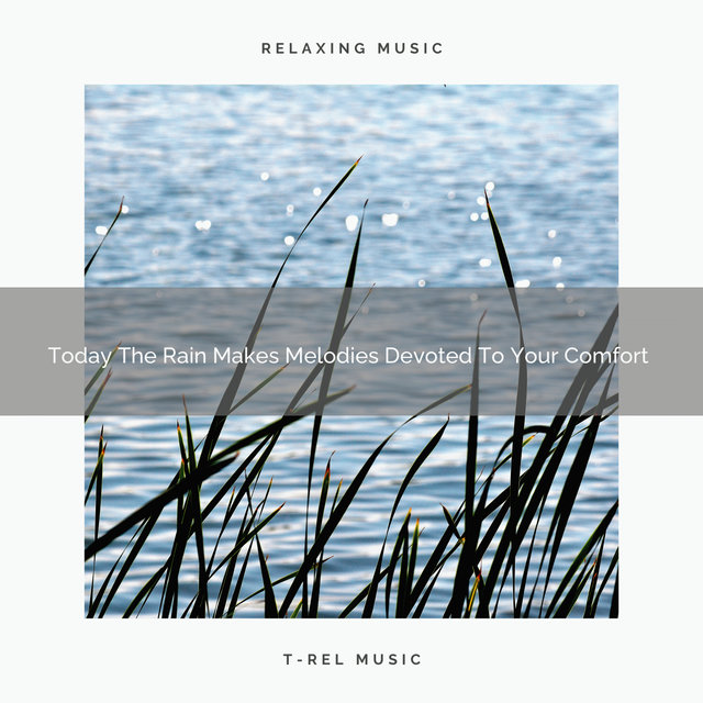 Today The Rain Makes Melodies Devoted To Your Comfort
