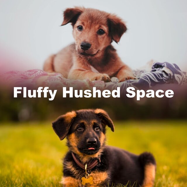Fluffy Hushed Space