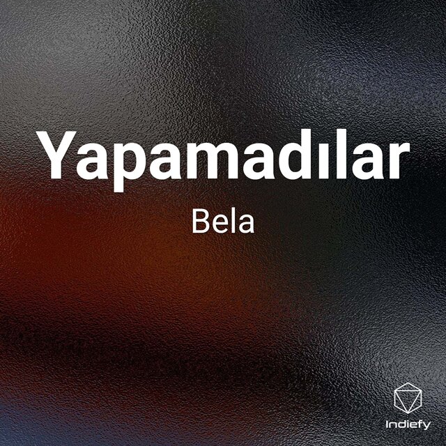 Yapamadılar