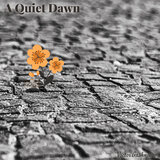 A Quiet Dawn