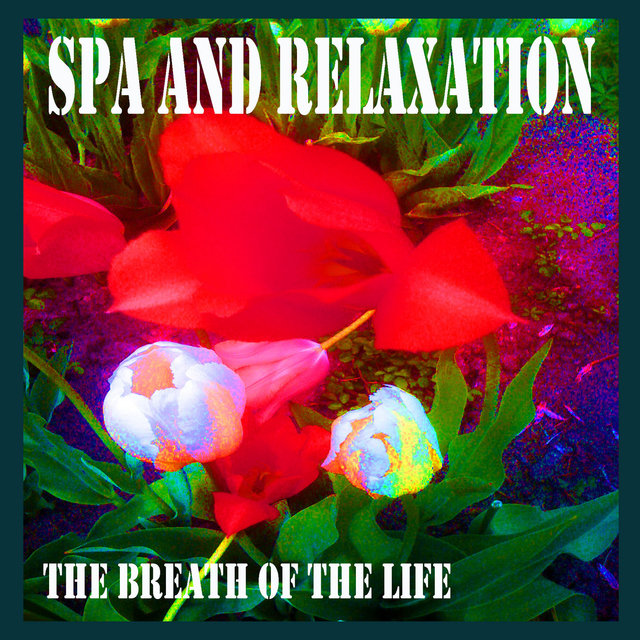 Spa and Relaxation