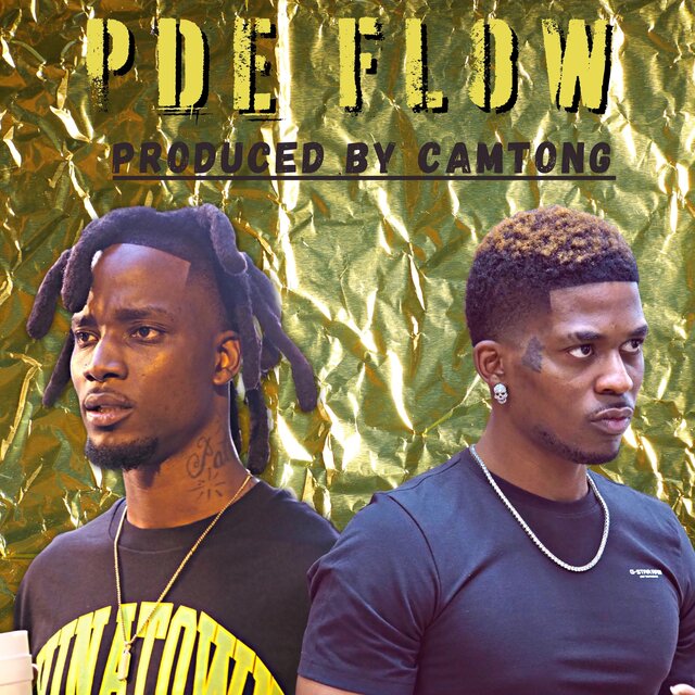 PDE Flow