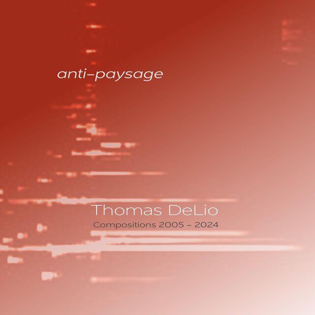 Thomas DeLio: anti-paysage