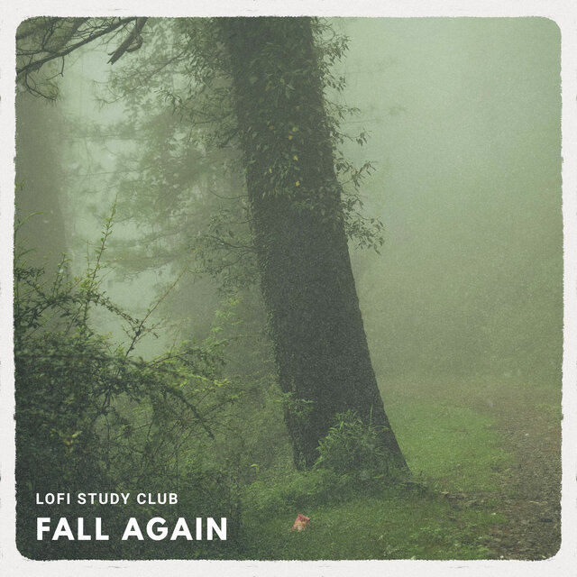 Fall Again