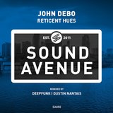Reticent Hues (Deepfunk Remix)