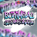 Berimbau Extraordinario