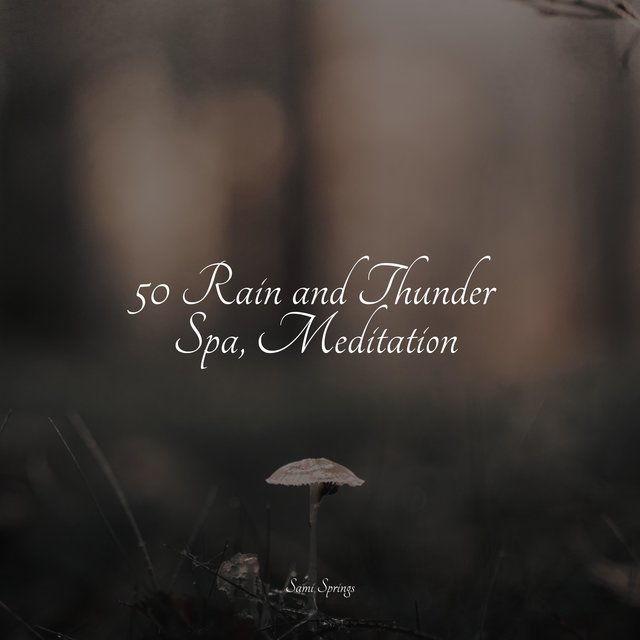 50 Rain and Thunder Spa, Meditation by Deep Sleep Music Delta Binaural ...