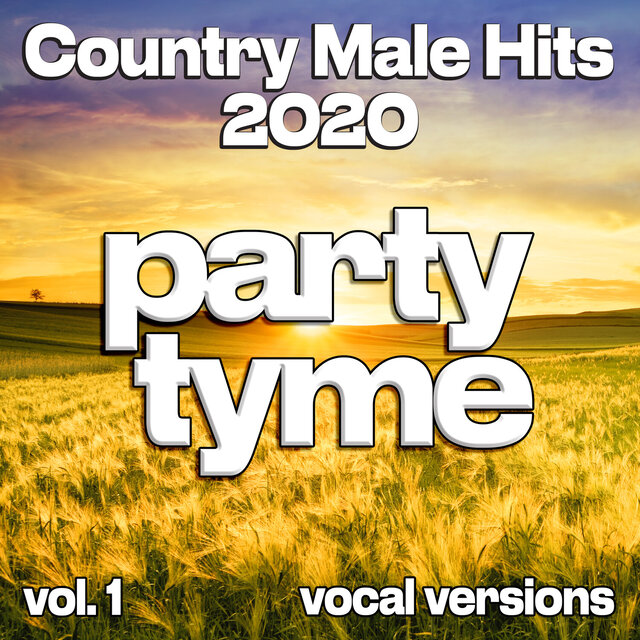 Country Male Hits 2020, Vol. 1 (Vocal)