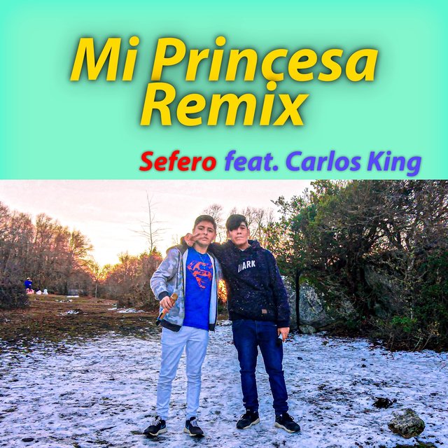 Mi Princesa (Remix)