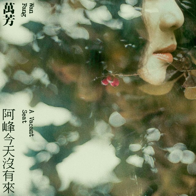 阿峰今天沒有來