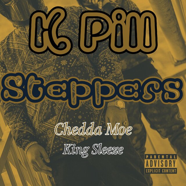 Steppers