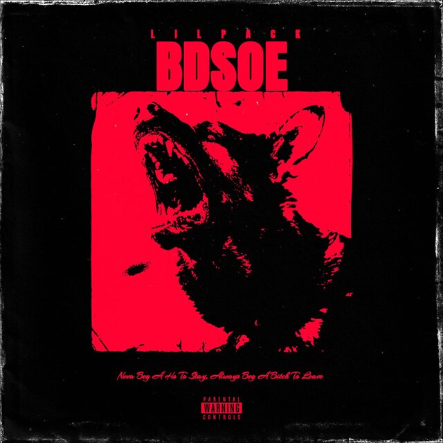 BDSOE
