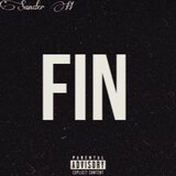 FIN