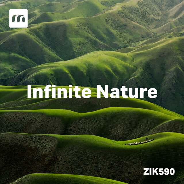 Infinite Nature
