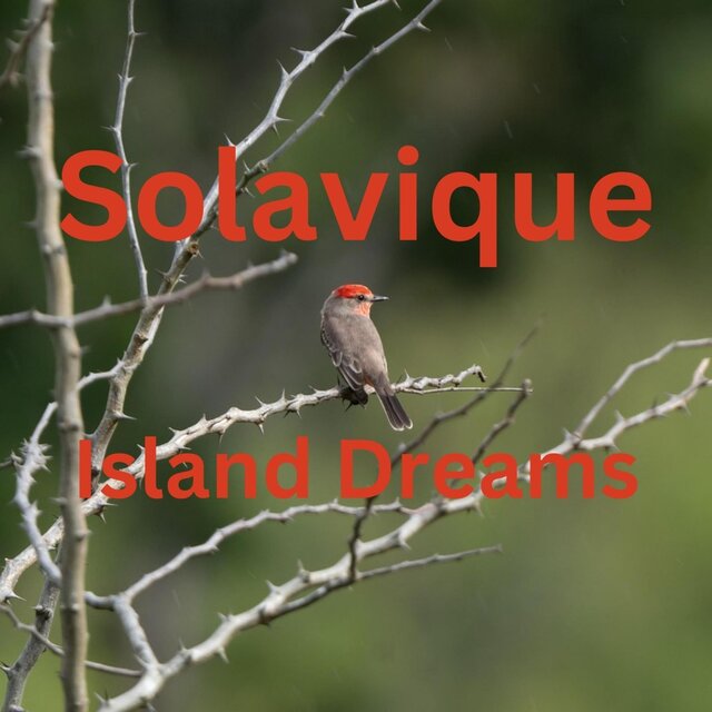 Island Dreams