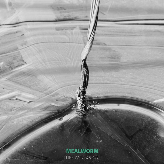 Mealworm