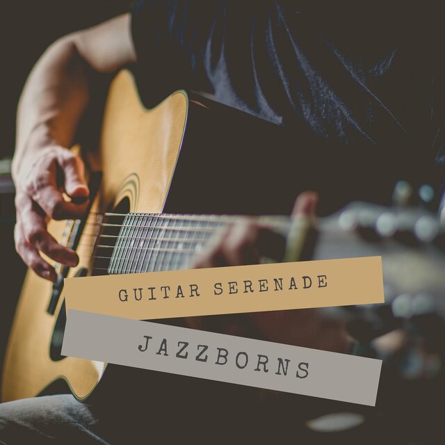 Guitar Serenade