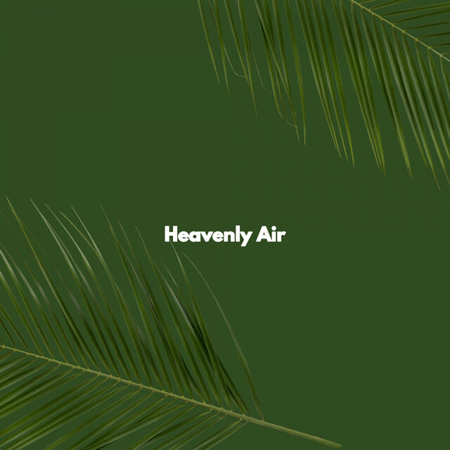 Heavenly Air