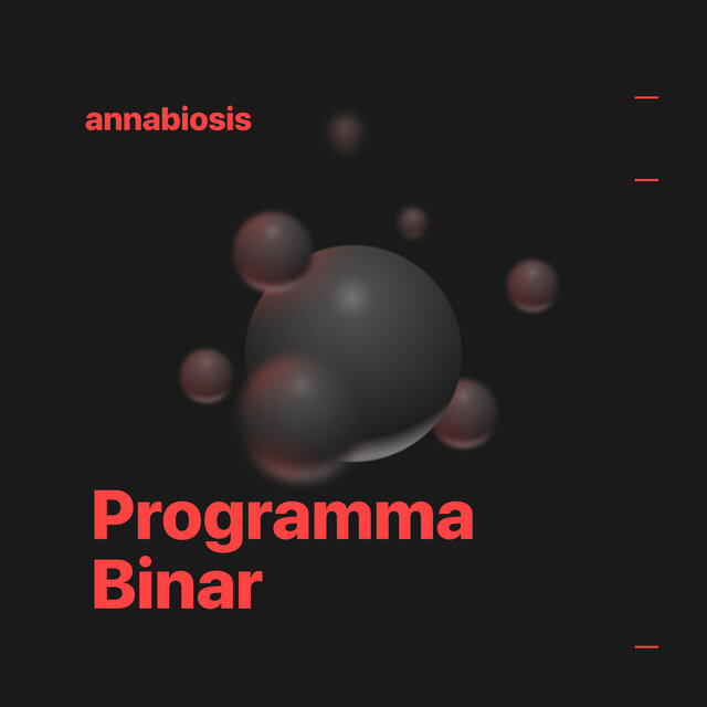 Programma Binar