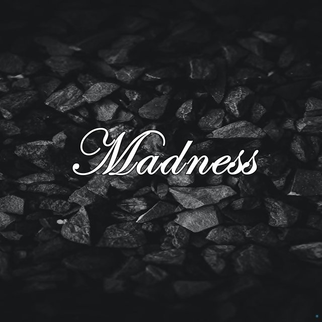 Madness (Instrumental)