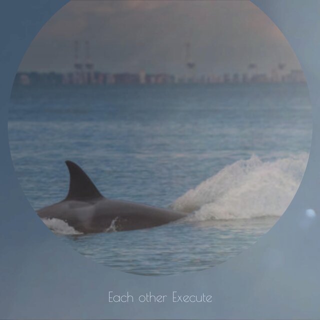 Each other Execute