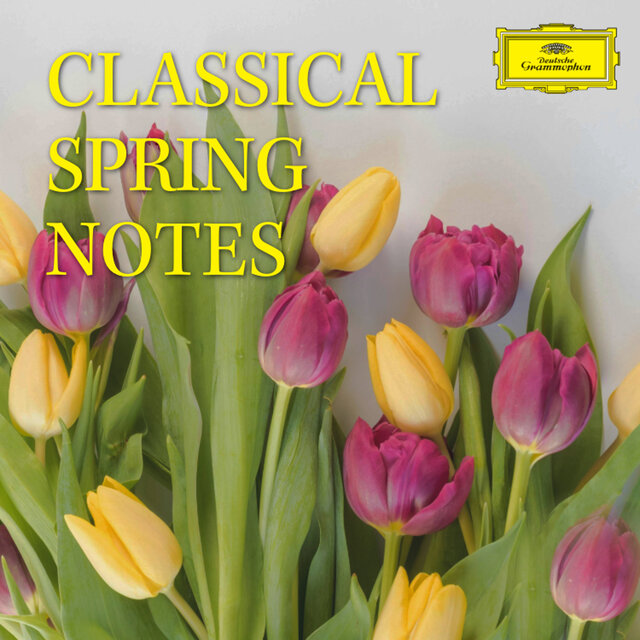 Classical Spring Notes by Wolfgang Amadeus Mozart on TIDAL
