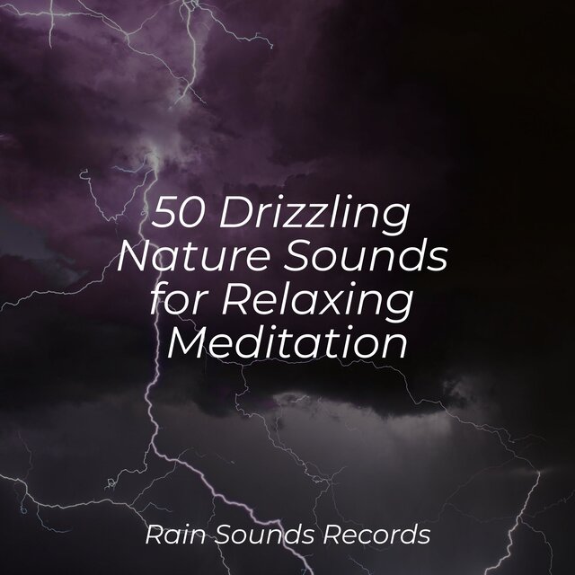 50 Drizzling Nature Sounds for Relaxing Meditation
