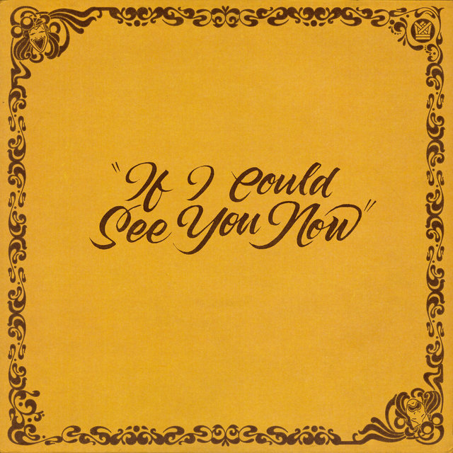 If I Could See You Now