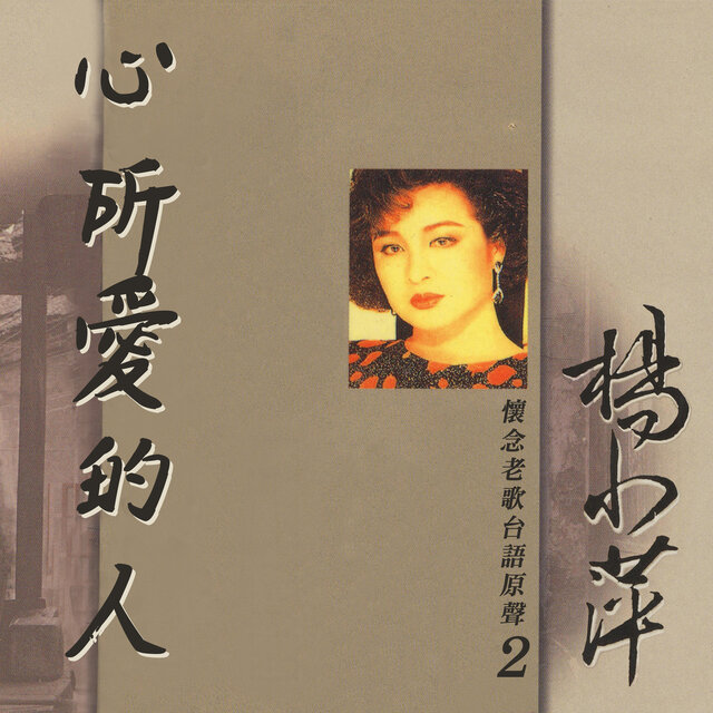心所愛的人（懷念老歌台語原聲, Vol. 2）