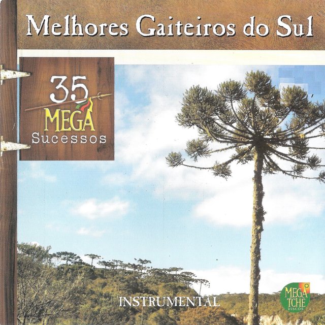MELHORES GAITEIROS DO SUL - INSTRUMENTAL