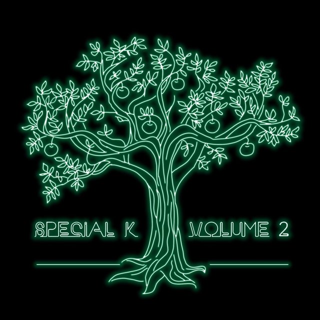Special K, Vol. 2