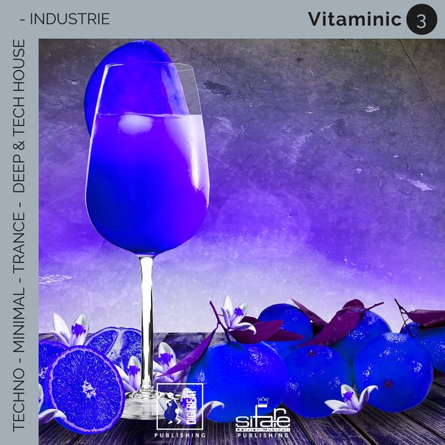 Vitaminic 3 (Remix Version)