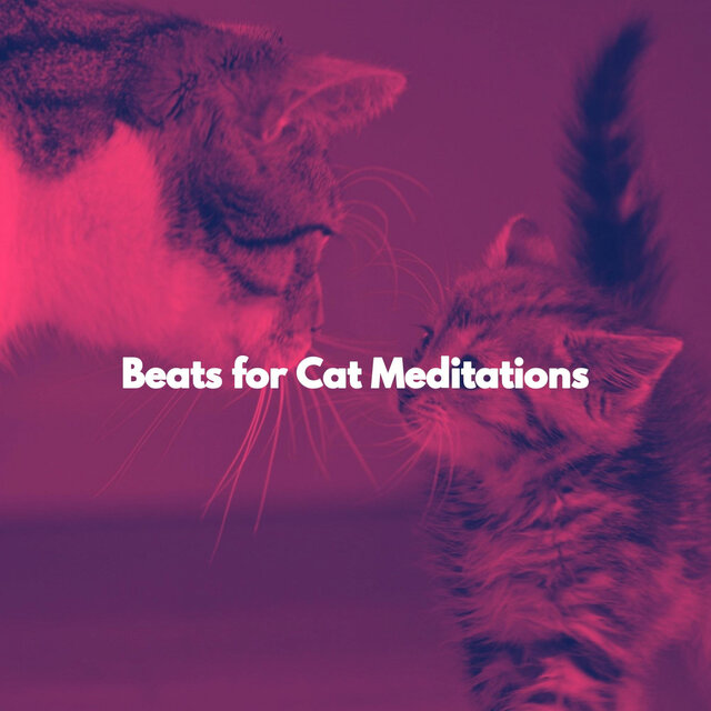 Beats for Cat Meditations