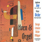 Concerto for Horn & Organ: II. Grave - Adagio