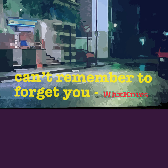 Can't Remember to Forget You