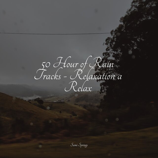 50 Hour of Rain Tracks - Relaxation a Relax